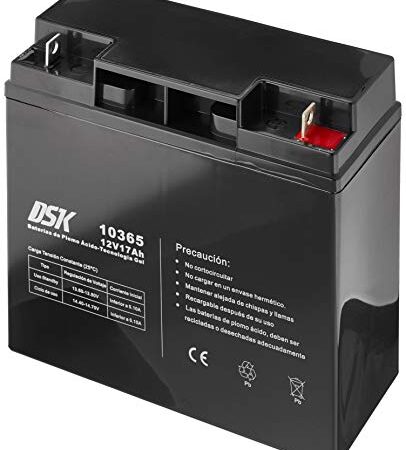 DSK 10365 – Batterie plomb technologie gel 12 V 17 ah, noir, avec les Vis et Écrous