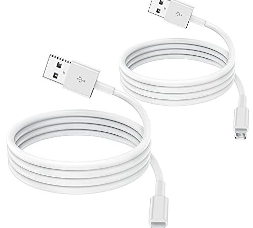 [2 Pack] 1m Câble Chargeur iPhone certifiés MFi Apple, Cordon de câble Apple Lightning vers USB 1 mètres pour iPhone 12/11/11Pro/11Max/ X/XS/XR/XS Max/8/7/6/ iPad 5S/Se