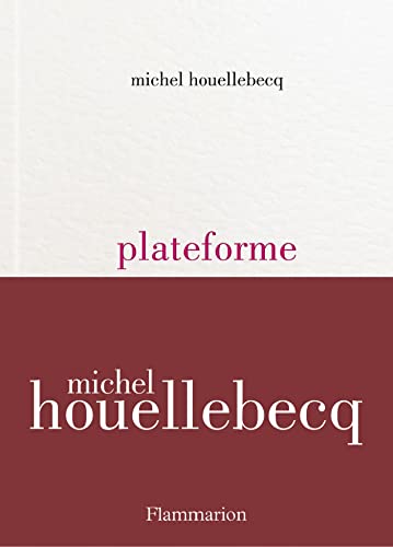 Meilleur houellebecq en 2024 [Basé sur 50 avis d’experts]