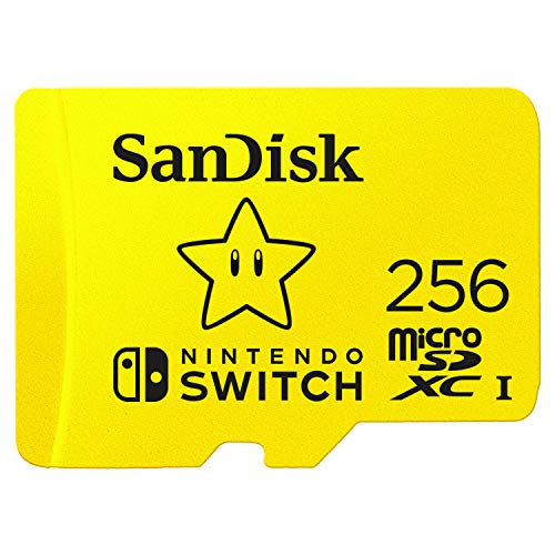 Meilleur carte micro sd 256 go en 2024 [Basé sur 50 avis d’experts]